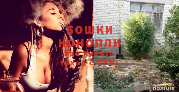 PSILOCYBIN Лихославль
