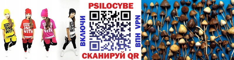 ссылка на мегу маркетплейс  Староминская  Галлюциногенные грибы мицелий 